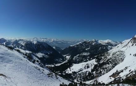 Appenzell Alps in the background