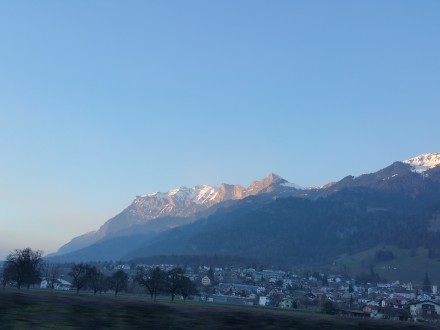 View from the winery