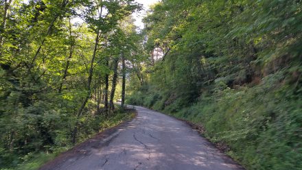 Our road - taking us through dozens of km of this
