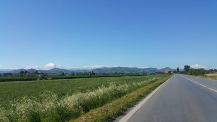 Bye bye hills