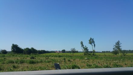 La pianura: Flat, flat, flat