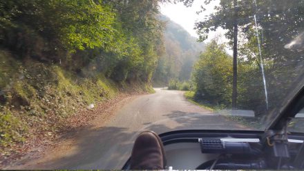 Sun on our way to San Pellegrino