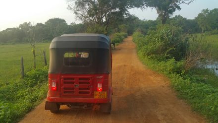 Our Sri Lankan three-wheeler