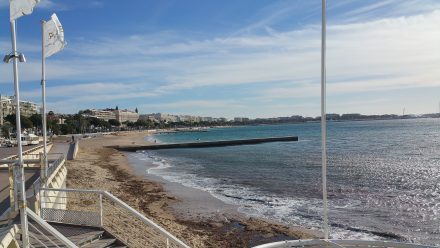 Cannes is nice, but not quite Tel Aviv.