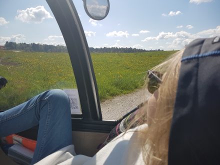 Taking in the scenery