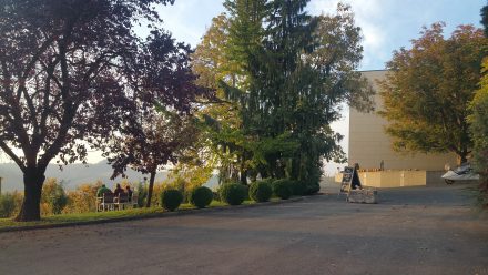 Our favourite Styrian winery
