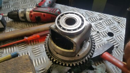 Differential gear assembly
