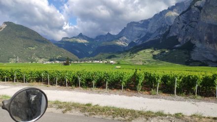 Postcard imagery of very drinkable Wallis wine