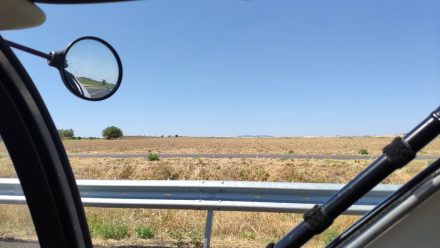 Vegetation is much further along than ours