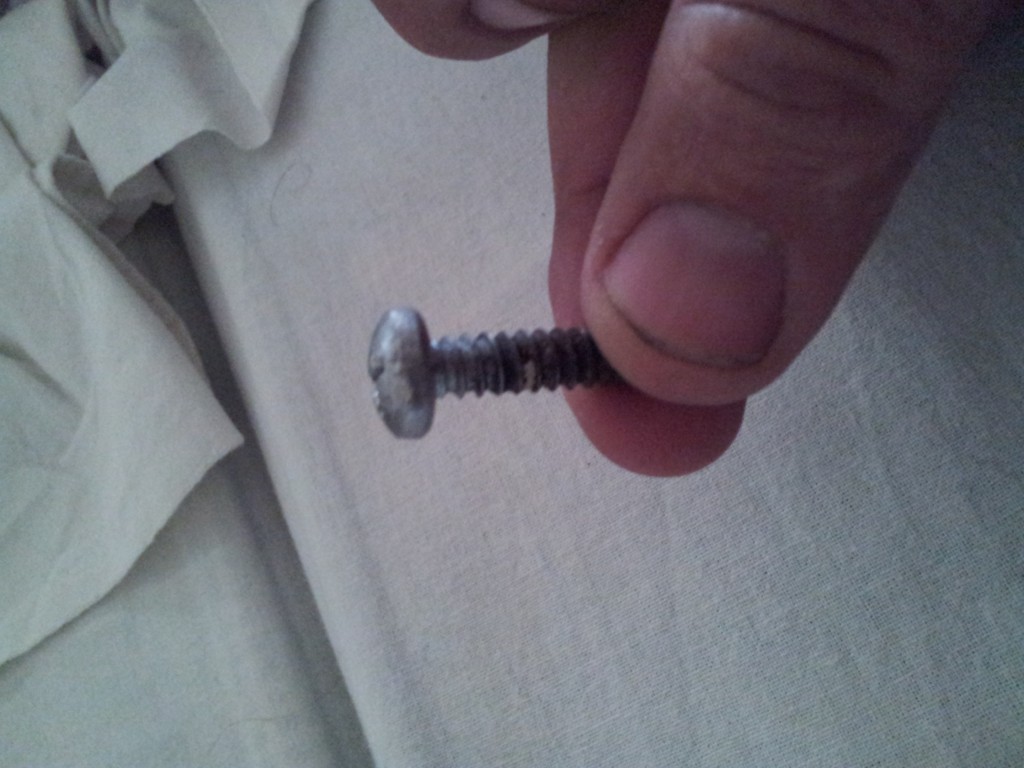 where does this screw come from? (found in TWIKE)