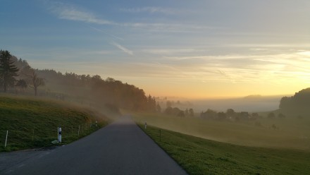 Whisps of fog to drive through