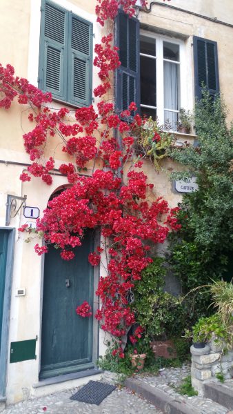 Cervo, house entrance