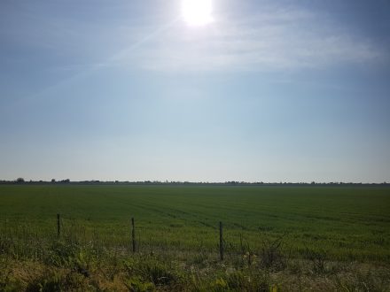 Flat...and sunny