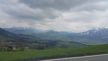 Bregenzer Wald