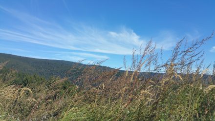 Our trip up to Rogla at 1500m
