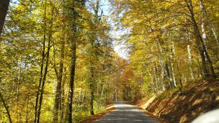 Beautiful colors in Styria