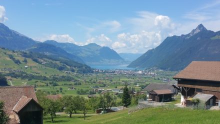 Close-up of Brunnen and lake Lucerne