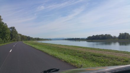 Driving along the Rhine