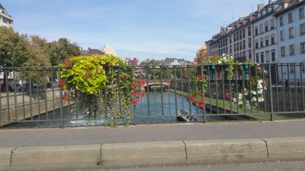 Strassbourg - not stopping!