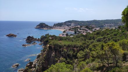 Yet another bay
